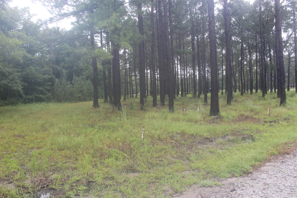 View of local wilderness