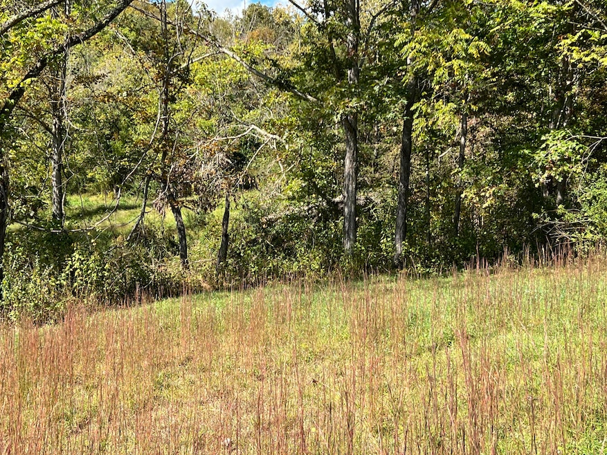 0 Grand View Dr unit 25-836, Forest Hill, WV 24935 - photo 1