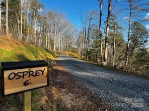 Lot 6 Osprey Mountain Way, Webster, NC 28779 - photo 1