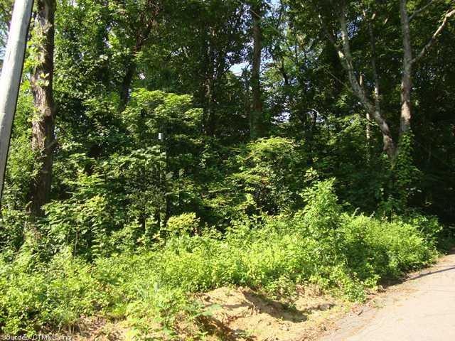 Land/Lot. The lot is located on the corner of Lake