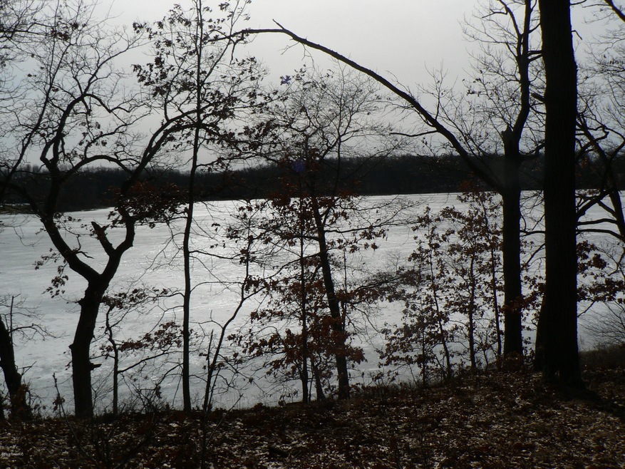 P1080920.JPG