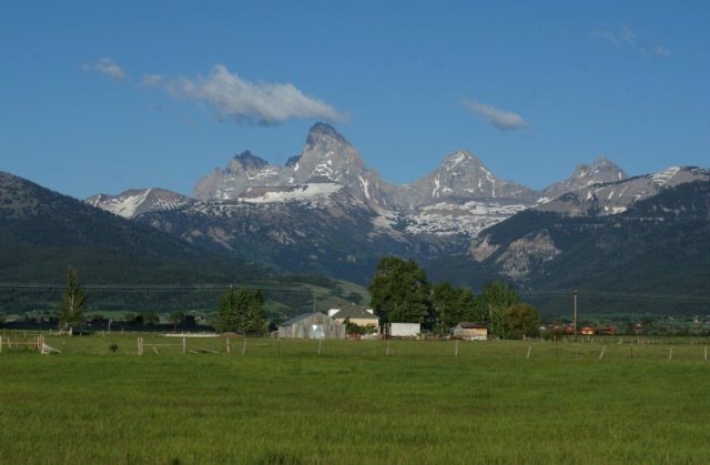 Main View