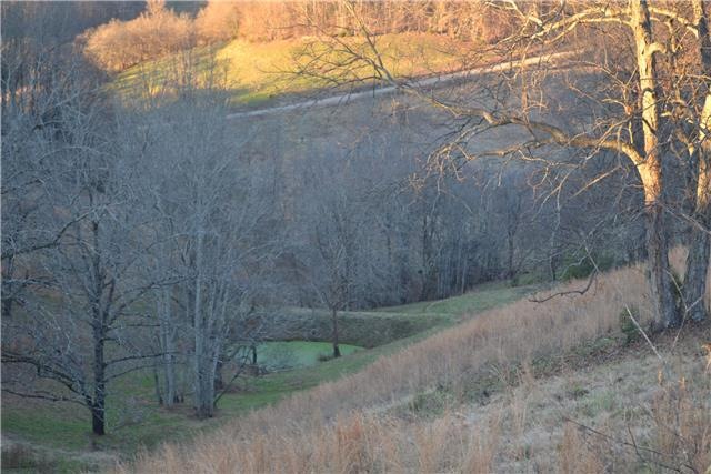 143 Patton Hollow Rd, Fayetteville, TN 37334 - photo 1