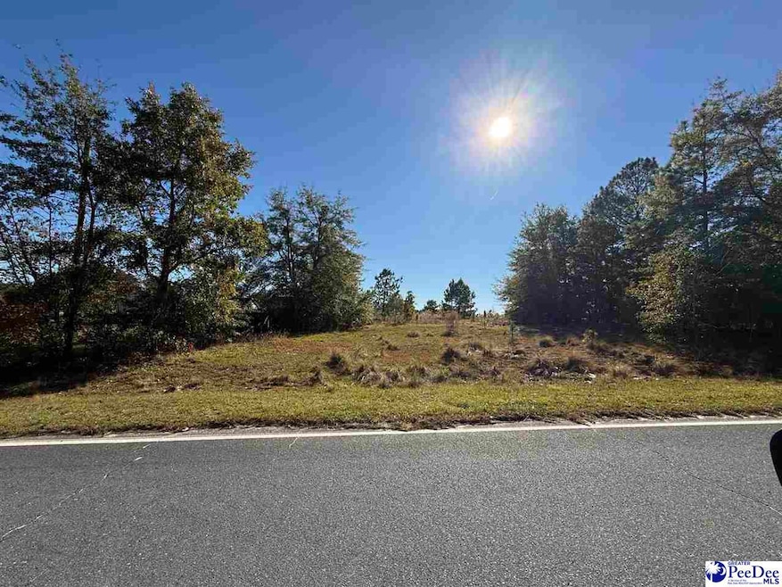 Lot 10 Holly Ave, McBee, SC 29709 - photo 1