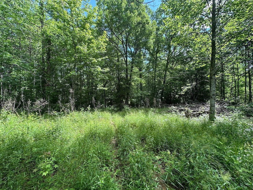 5201 Tennessee 150, Sequatchie, TN 37374 - photo 1