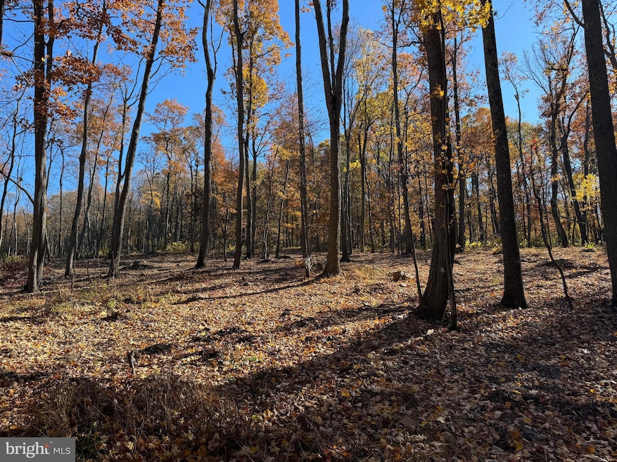 0 Digging Bear Ln unit VALO2111586, Purcellville, VA 20132 - photo 1