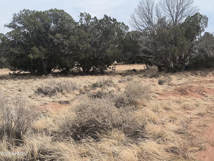 Sold $10,000 • Co-Listing Agent