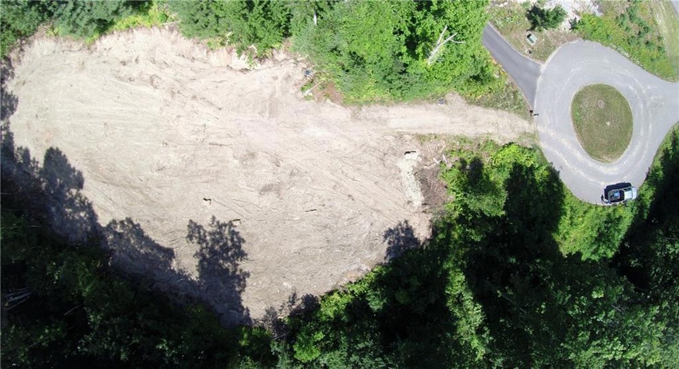 Aerial view of cleared section of lot.