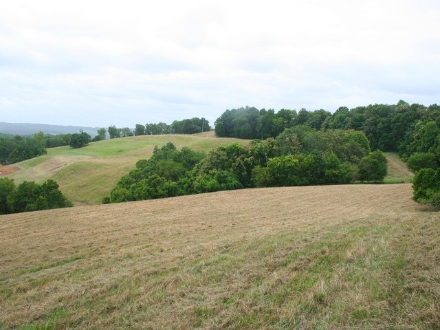 BEAUTIFUL 17.64 ACRES OF FARM TO BUILD YOUR DREAM HOME