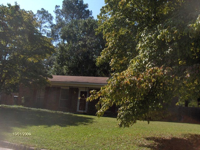 Main View