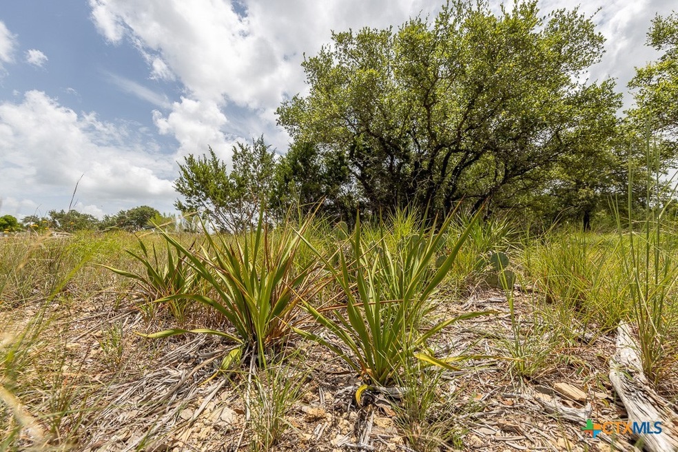 162 Scarlet Ct, Canyon Lake, TX- Aprox 1 Acre