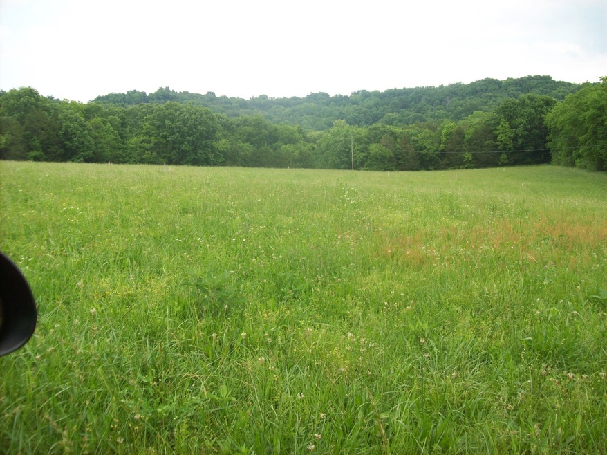 0 Hwy 130e unit RTC2584733, Shelbyville, TN 37160 - photo 1