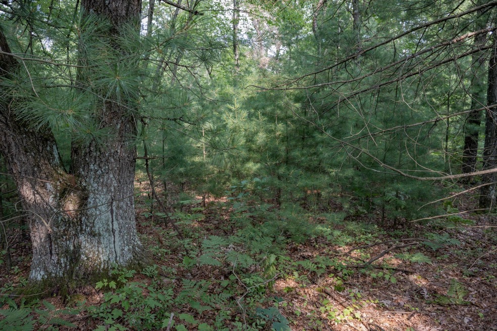 W8878 Cranberry Creek, New Lisbon, WI 53950 - photo 1