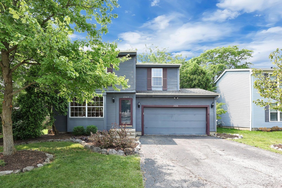 1-web-or-mls-2909-badger-dr