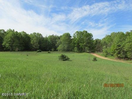 0 Woodland Park Rd unit 16002324, Bitely, MI 49309 - photo 1
