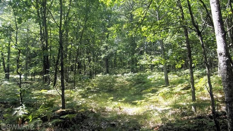 0 W Woodland Park Dr unit PAR D 13049198, Merrill Township, MI 49309 - photo 1