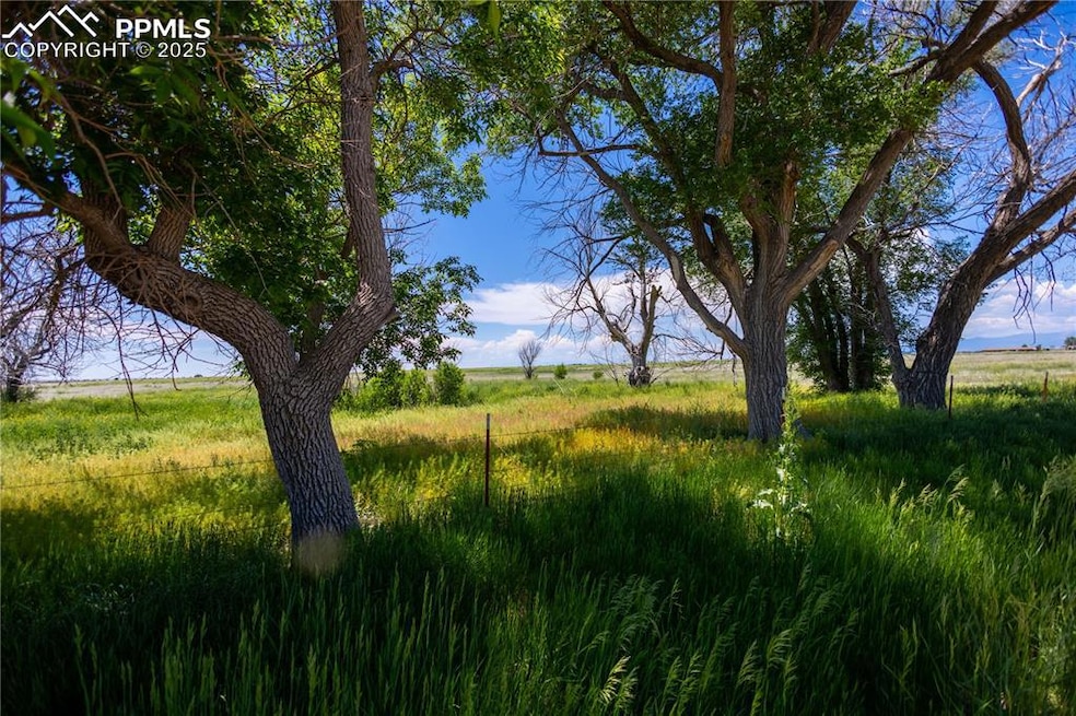 23655 E Garrett Rd, Calhan, CO 80808 - photo 1