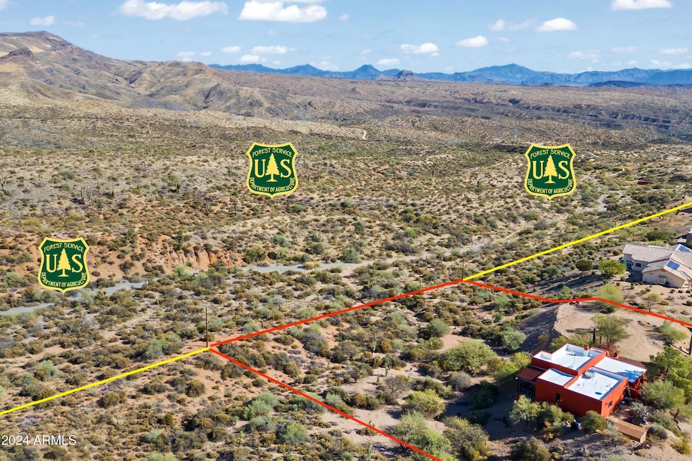Tonto National Forest 1