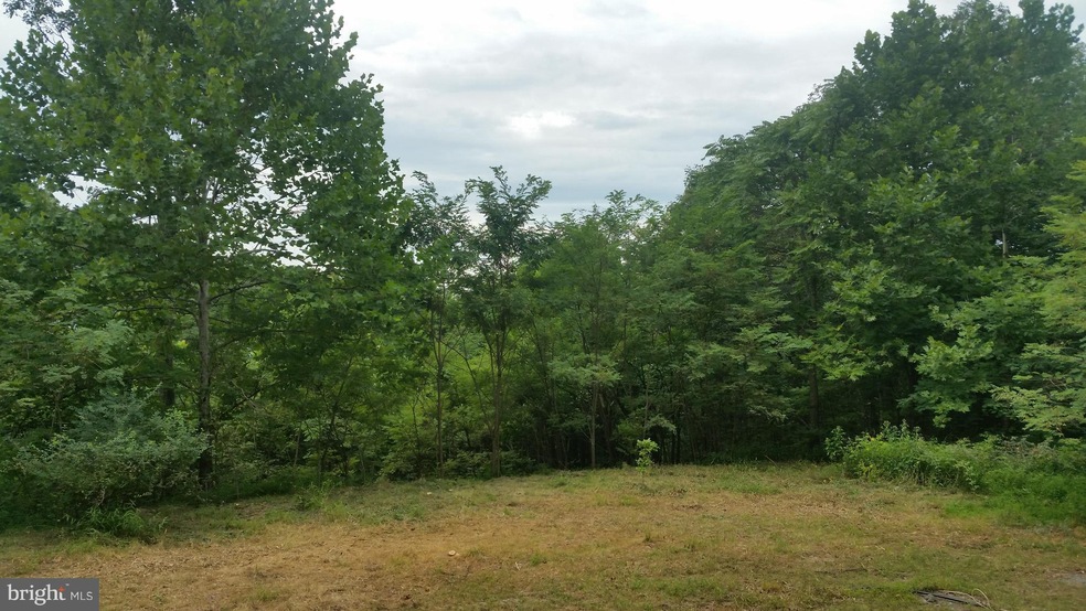0 Gamble Ln unit 1002243754, Great Cacapon, WV 25422 - photo 1