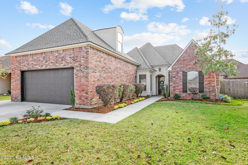 116 Spring Cypress -3