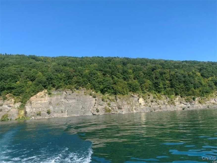 0 Off Morris Run Rt-41, Spafford, NY 13077 - photo 1