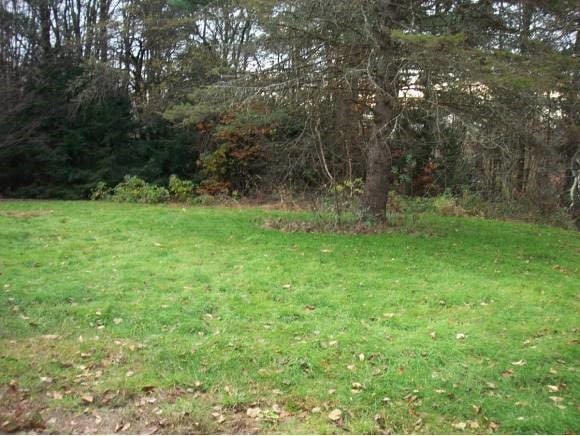 16 Cox Rd, Putney, VT 05346 - photo 1