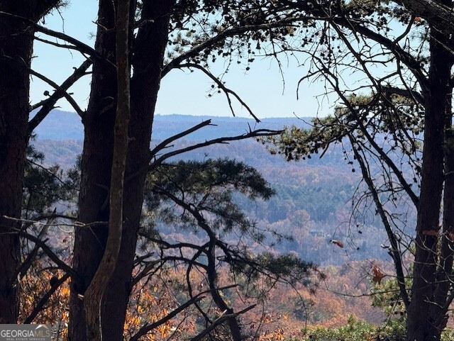 0 John Call Rd unit 10646302, Talking Rock, GA 30175 - photo 1