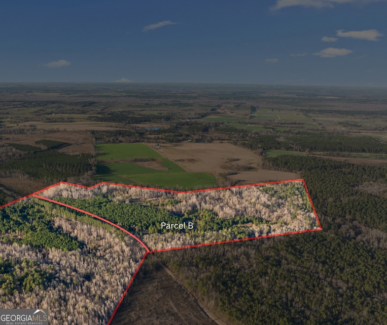 0 Thomas Rd unit 10647908, Millen, GA 30442 - photo 1