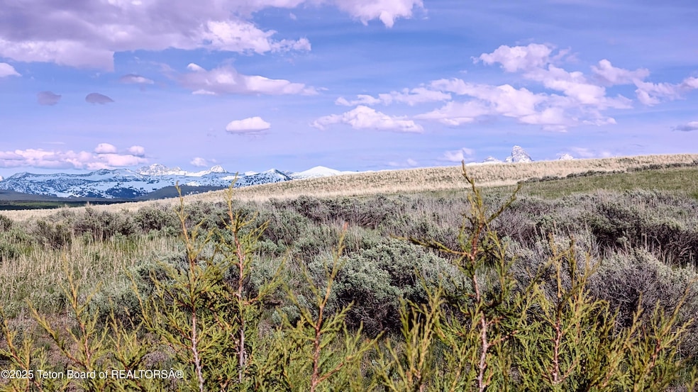 PXL_20250523_235417253~2