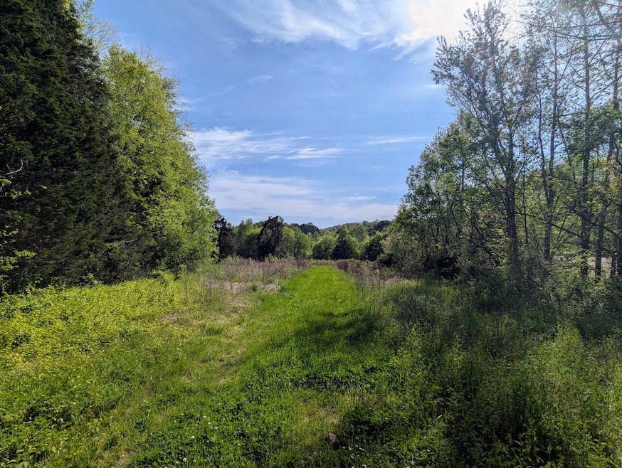 00 Ladd Springs Rd, Old Fort, TN 37362 - photo 1