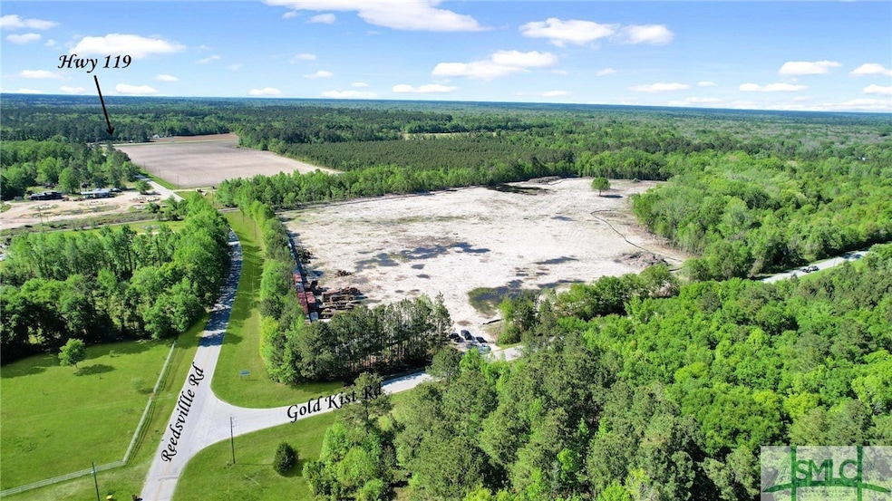 1382 Reedsville Rd, Clyo, GA 31303 - photo 1