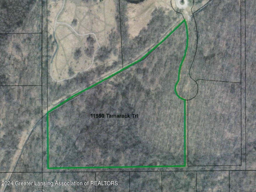 11550 Tamarack Trail, Bath, MI 48808 - photo 1