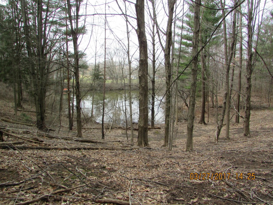 Overlooking Pond