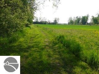 N/A Tonkey Rd, Turner, MI 48765 - photo 1