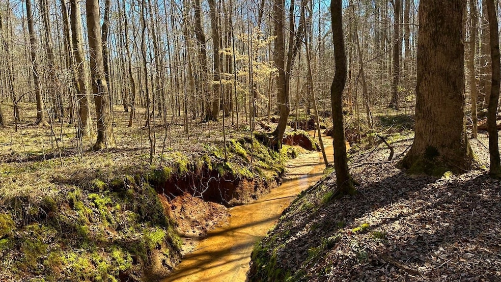 0 Harley Rucker Rd unit 19785832, Elberton, GA 30635 - photo 1