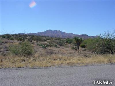 3641 E Sahuarita Rd unit 14, Vail, AZ 85641 - photo 1