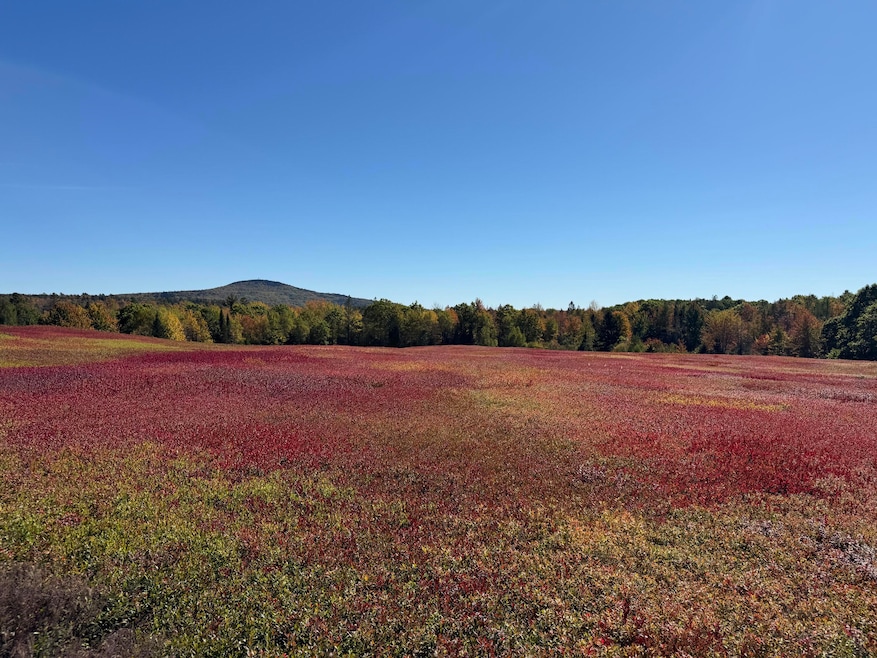 MAP31LOT29 Land-Perkins, Blue Hill, ME 04614 - photo 1