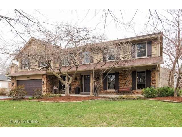 801 Shiloh Cir, Naperville, IL 60540 - photo 1