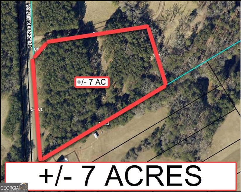 +/- 7 ACRES Youth Jersey Rd, Covington, GA 30014 - photo 1