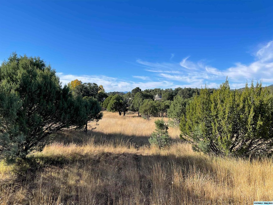 xx Himalaya Ct, Silver City, NM 88061 - photo 1