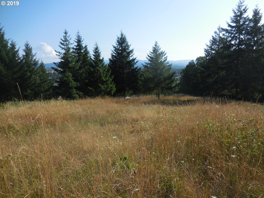 0 NE Center St, Sheridan, OR 97378 - photo 1