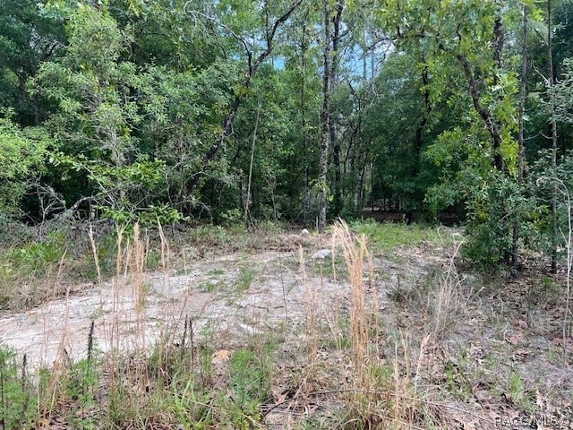 1108 E Van Gogh Ct, Hernando, FL 34442 - photo 1