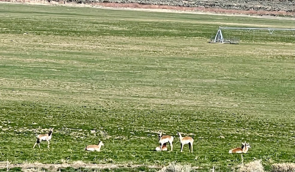 0 Tdb- 20 Acre Parcel unit 3626182, Montello, NV 89830 - photo 1