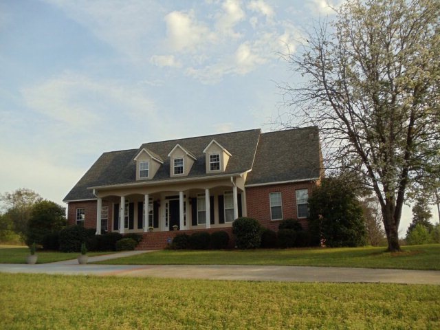Primary Photo