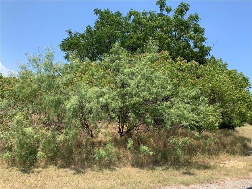 44199 Fringewood Dr, Whitney, TX 76692 - photo 1