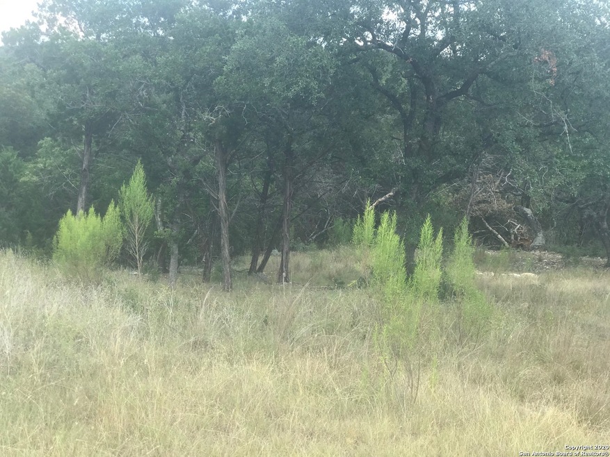 20307 Bobwhite Run, San Antonio, TX 78256 - photo 1
