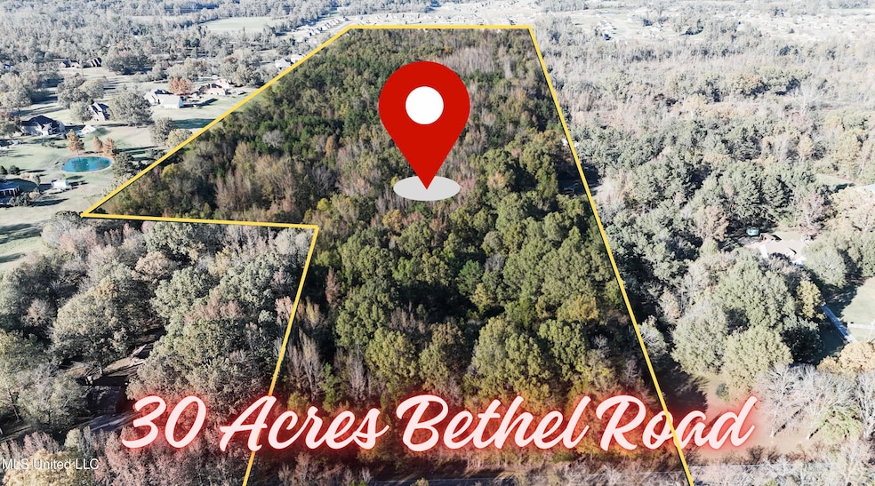 30 Acres Bethel Road.png