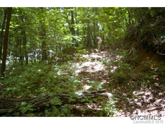 0 Roaring Fork Rd unit NCM579079, Burnsville, NC 28714 - photo 1