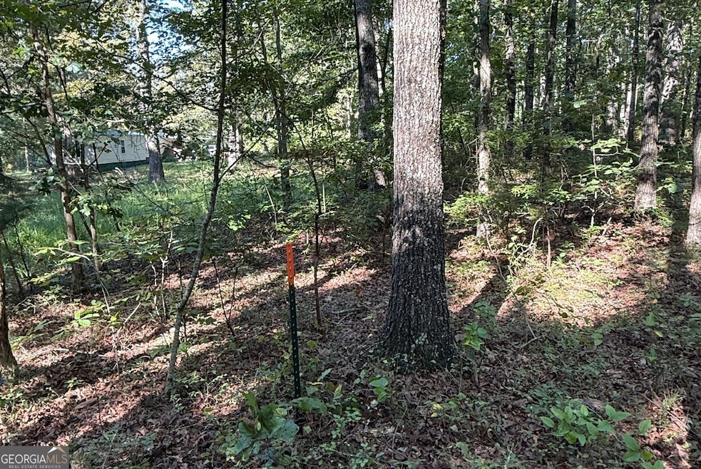 0 Turkey Ct unit LOT 42 & 46, Waco, GA 30182 - photo 1