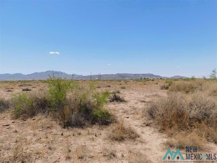 - Dr Unit 105 Bk 7, Deming, NM 88030 - photo 1